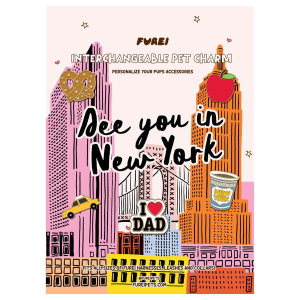 NYC Dad Pack