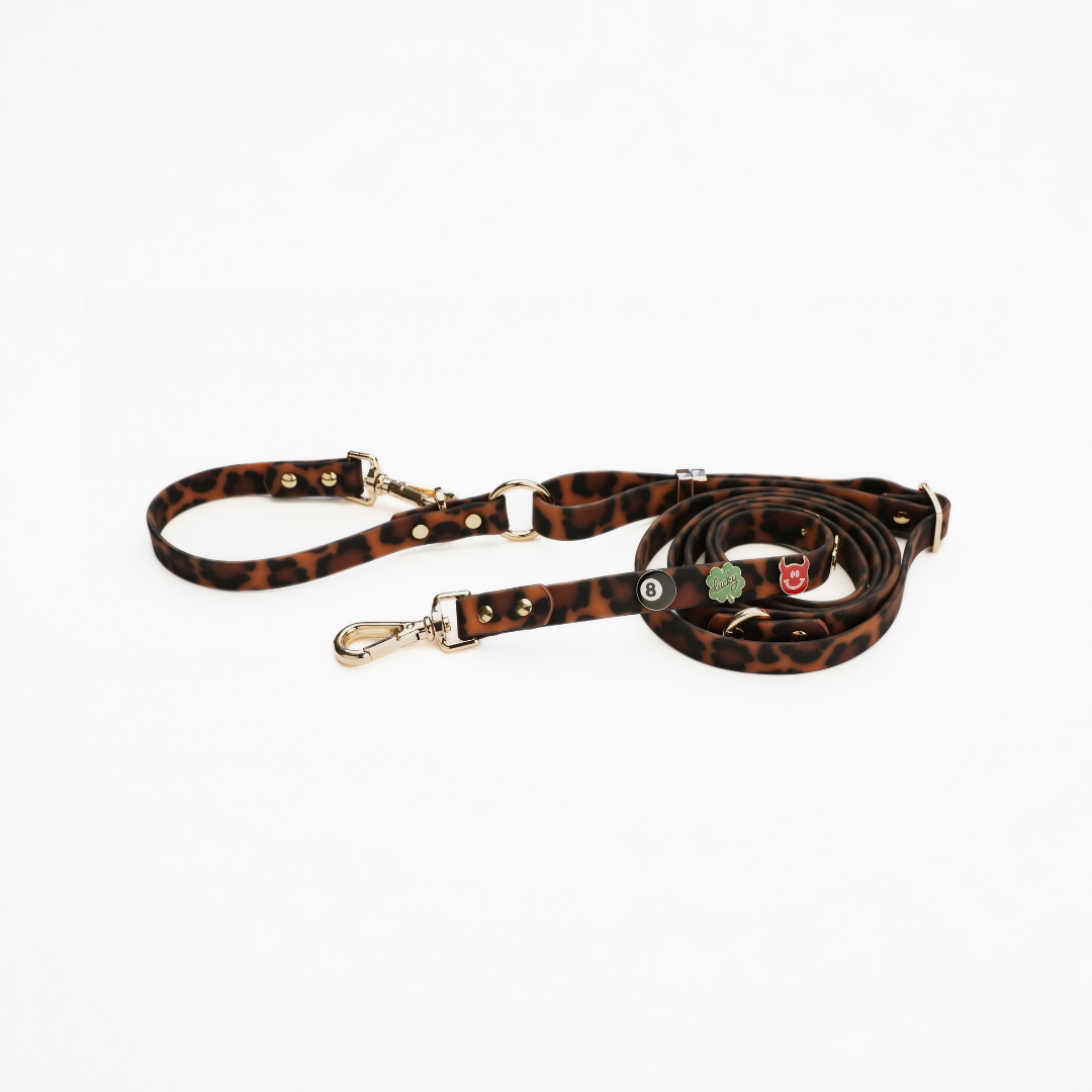 Moodies 4-in-1 Leash