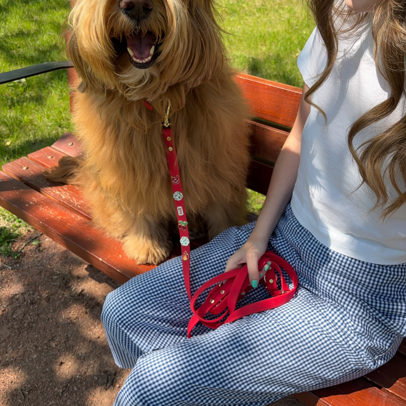 Moodies 4-in-1 Leash