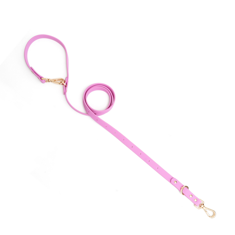 Moodies Leash