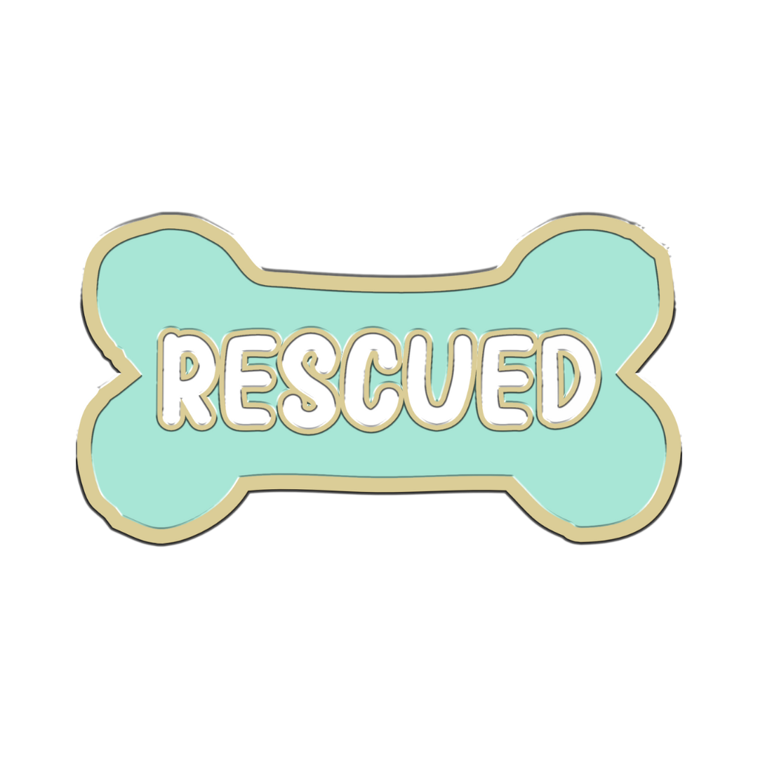 Aqua Rescued Forever Charm-22