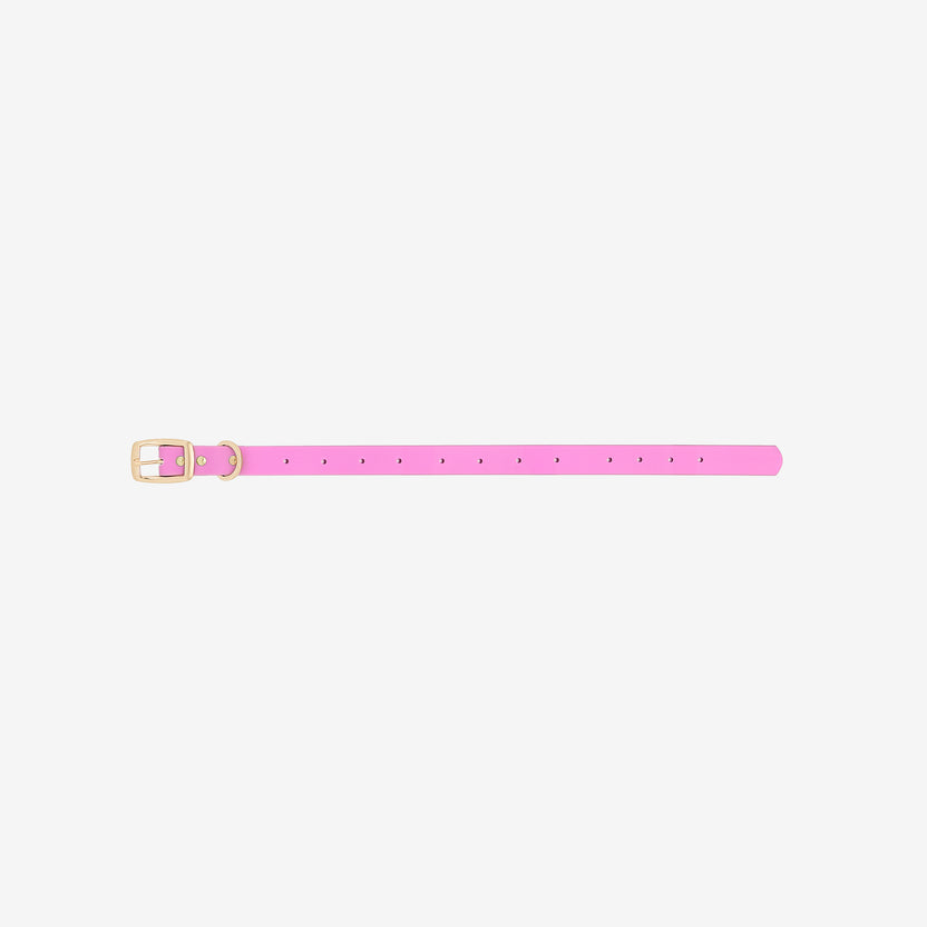 Moodies Collar – Furei Pets