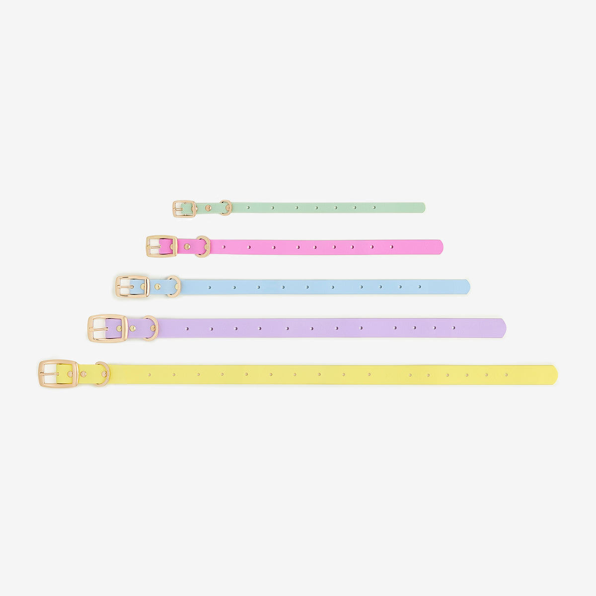 Waterproof Customizable Dog Collar with Charms | Furei Pets