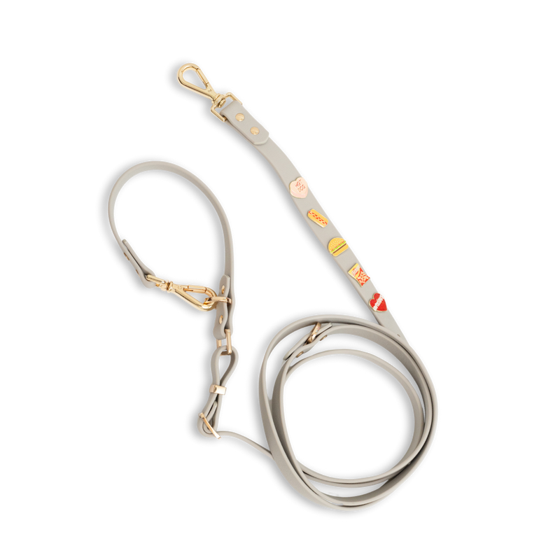 Moodies 4-in-1 Leash