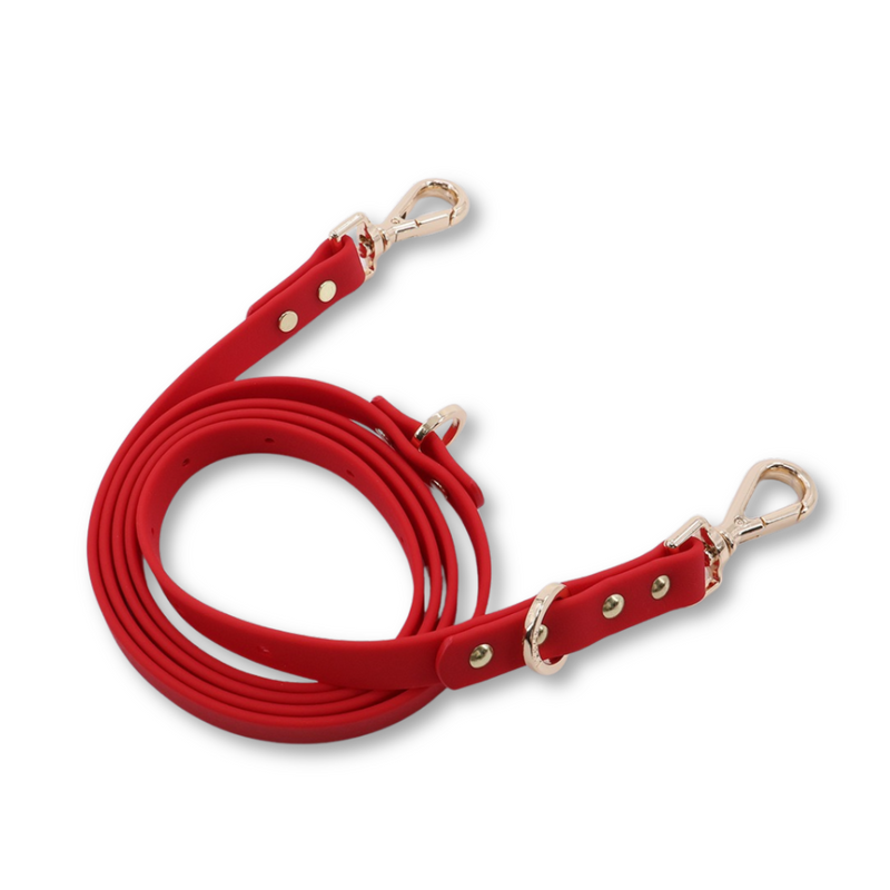 Moodies Leash