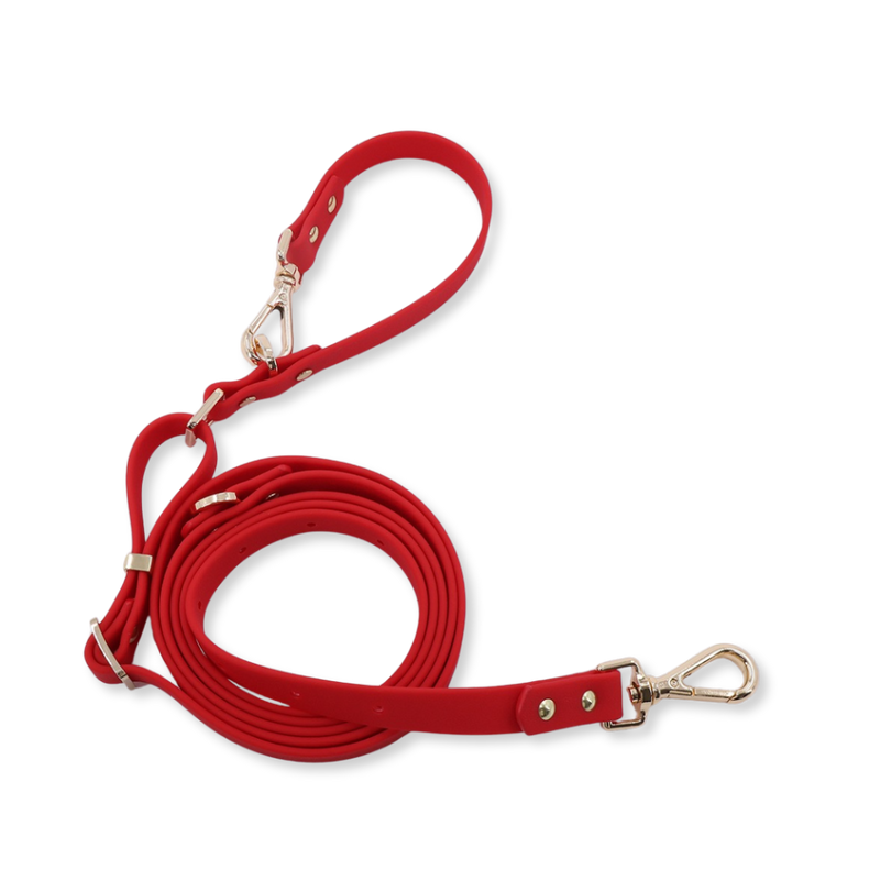 Moodies 4-in-1 Leash