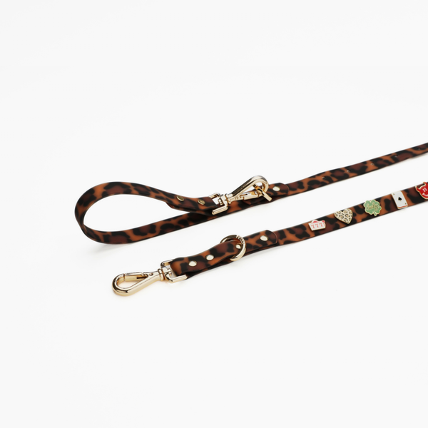 Moodies Leash